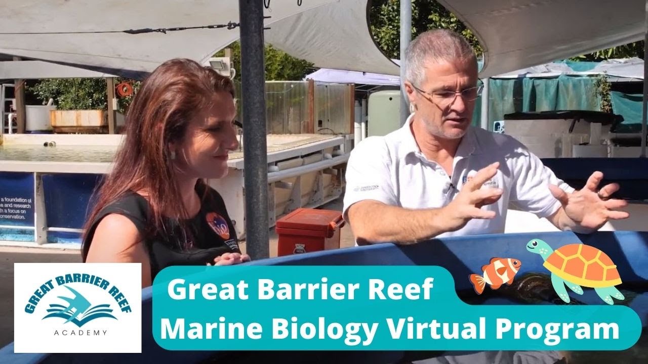 40s Marine Biology YouTube