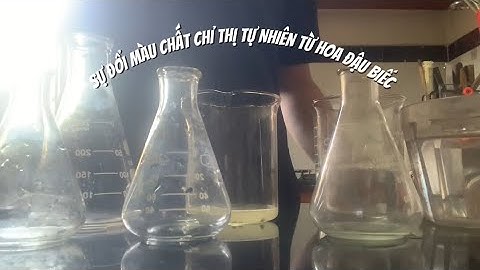 THÍ NGHIỆM VỀ SỰ ĐỔI MÀU CHẤT CHỈ THỊ TỰ NHIÊN TỪ HOA ĐẬU BIẾC