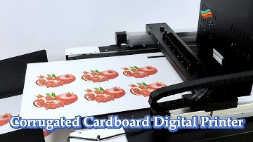 Corrugated Cardboard Printing Machine: high speed cardboard single pass digital printer！#cardboard
