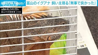 富山のイグアナ　飼い主現る「無事でよかった」(2021年5月24日)