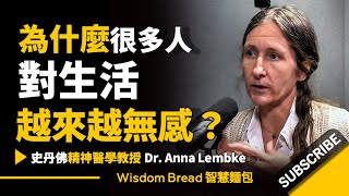 為什麼很多人對生活越來越無感► 聽聽史丹佛大學精神醫學教授怎麼說  Dr. Anna Lembke 安娜·倫伯克博士中英字幕