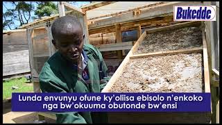 Lunda envunyu ofune ky’oliisa ebisolo n’enkoko nga bw’okuuma obutonde bw’ensi