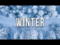Winter (teaser) by KonovalovMusic