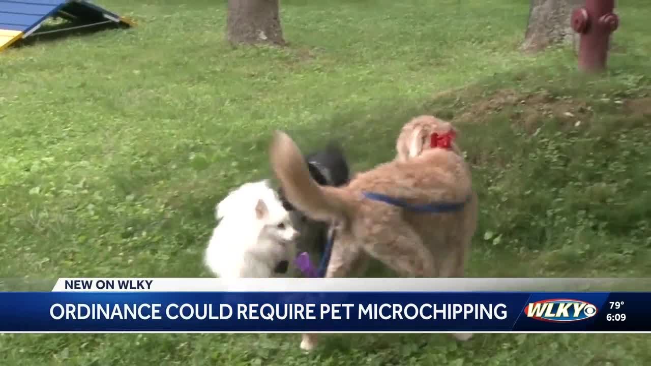 Ordinance could require pet microchipping in Louisville
