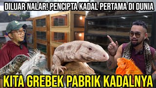 DI LUAR NALAR!! PENCIPTA KADAL PERTAMA DI DUNIA!! KITA GREBEK PABRIK KADALNYA TAUFIK QELANGENAN