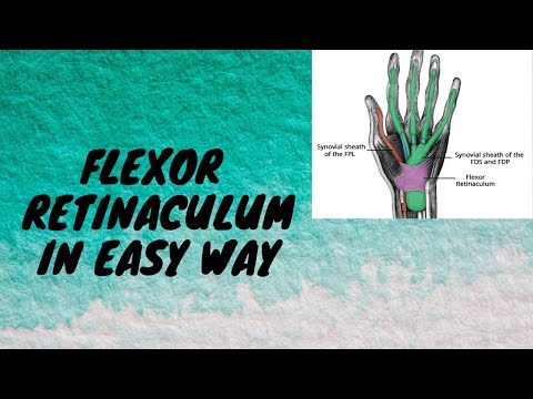Video: Flexor Retinaculum Jalan Anatomiasta, Toiminnasta Ja Kaaviosta - Vartalokartat