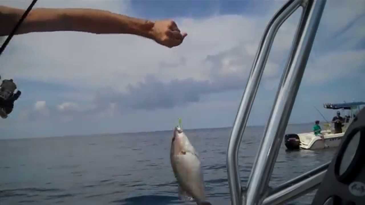 Rod, Reel, Line, Hook for Yellowtail Snapper 