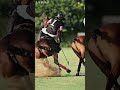 Dangerous polo sport video #shorts #sports #polo #lapolo
