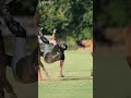 Dangerous polo sport video #shorts #sports #polo #lapolo