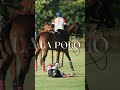 Dangerous polo sport video #shorts #sports #polo #lapolo