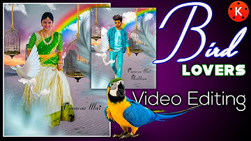 Bird lovers whatsapp status video editing in kinemaster || natural video editing alight motion