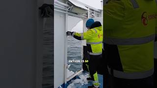 This is one of the daily tasks of a crew member 🚢 #foryou #youtube #didyouknow #youtubeshorts #fyp
