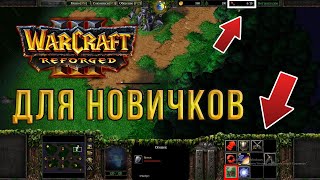 WarCraft 3: Reforged ДЛЯ НОВИЧКОВ - С ЧЕГО НАЧАТЬ?