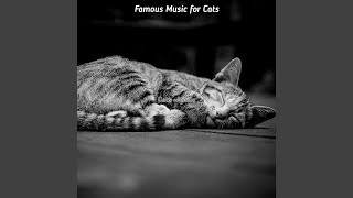 Subtle (Kittens)