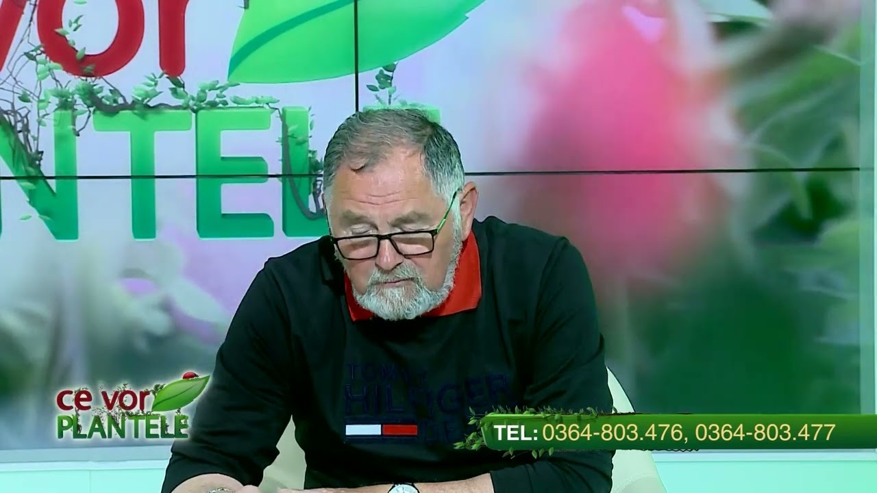 VIDEO Dr. Ing. Horia Ghibu - Tratament pentru pătrunjelul de frunze 1 VIDEO Dr. Ing. Horia Ghibu - Tratament pentru pătrunjelul de frunze YouTube player