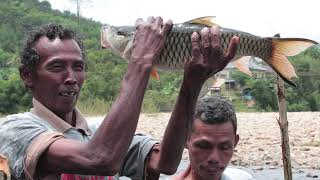Rimbang Baling Sustainable Food Production