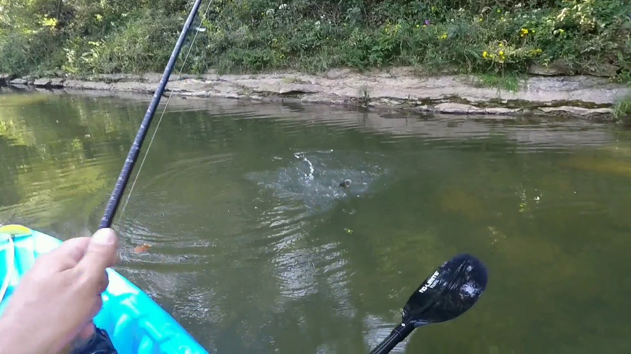 Bass fishing the kings river YouTube