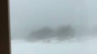 Blizzard 02/13/2017