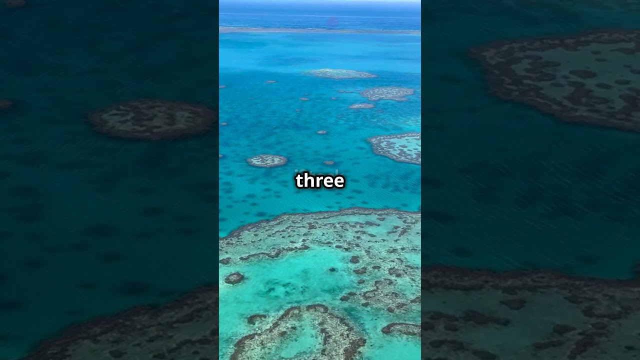 Mind-blowing underwater facts You didn't know !! #youtubeshorts #ytshort #underwater #facts #like