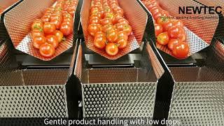 Weighing and packing of small cherry tomatoes