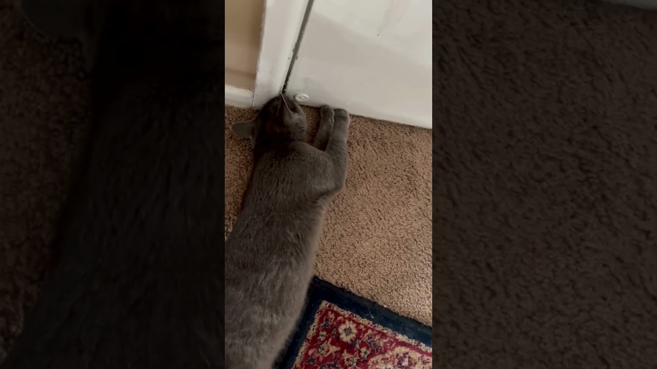 I will open this heavy door