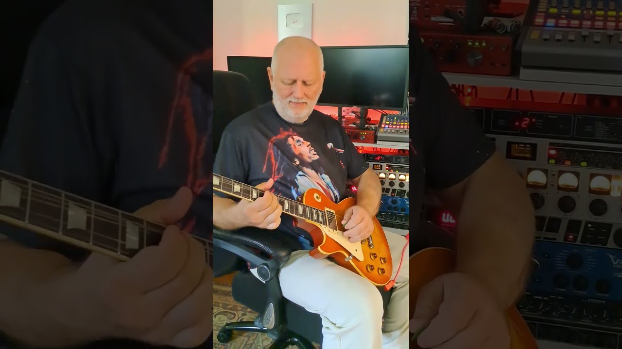 Always On My Mind - Guitar Instrumental by Vladan