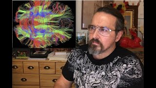 Les Deux Grands Types Dintelligences