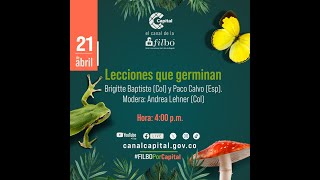 Lecciones que germinan: la filosofía y ciencia contemporáneas sobre plantas l FILBo 2024