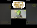 栃木県で一番生徒数の少ない学校の悲劇