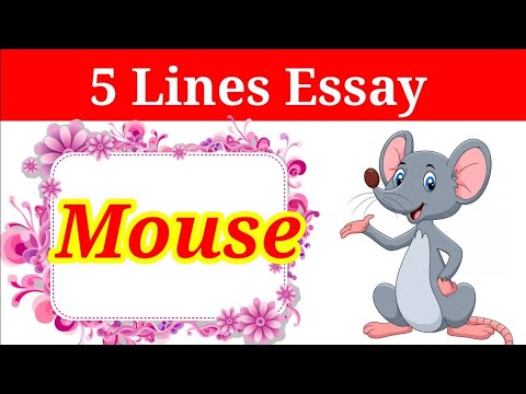 easy essay on mouse