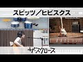 スピッツ/ヒビスクス(カバー)