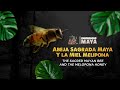 Abeja Melipona y Miel Maya