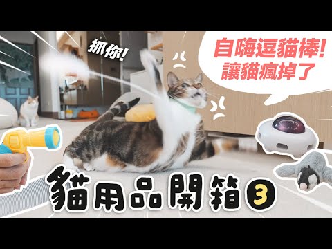 【自嗨貓玩具！讓貓瘋掉了。】#貓用品開箱 志銘與狸貓