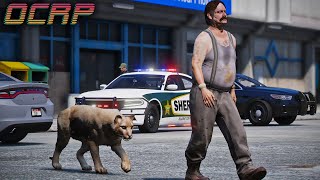 Cougar on The Loose in GTA RP | OCRP by Bay Area Buggs 246,003 views 2 days ago 53 minutes