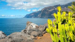 Tenerife - Canary Islands - Spain