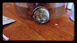 Putty And Needle In Time Lapse