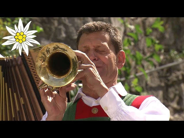 Franz Posch & Seine Innbrüggler - Auf Gehts Friedl