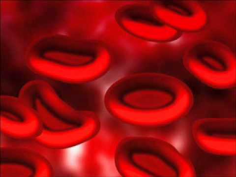 Release Oxygen and Calcium into Cells Binaural Beats Cell Regeneration Music
