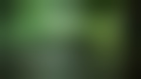 036 সূরা ইয়াসীন  Surah Ya Sin হৃদয় ছোঁয়া سورة يس‎ অনুবাদ qari Sakir Qasmi  mahfuz art of nature240