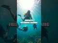 The Breathtaking Underwater Endurance of Sarah Collins