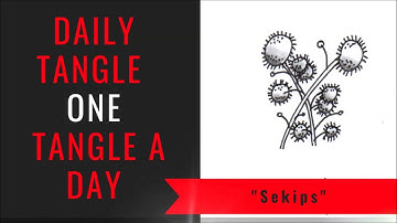Daily Tangle - Sekips   |How to draw...|