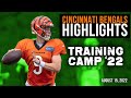 Joe Burrow Practices Again, Highlights of Tee Higgins, Joe Mixon and More! | Bengals Training Camp