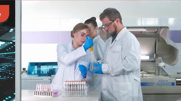 The Time Rondeau Crystal,  A New Phase of Matter