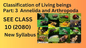 Classification of Living Beings Class_10(SEE) [ Part 3 ] Kingdom Animalia: |Science and Technology|