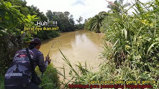 HUH...!!! BERAT NYA IKAN INI,SPOT PUCUK PAKU GEMUK GEMUK,EPISOD99.