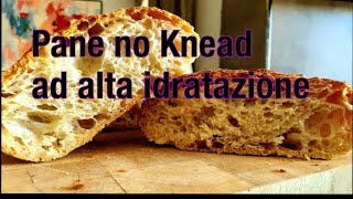 Pane alta idratazione senza impastatrice! • Martina Manti