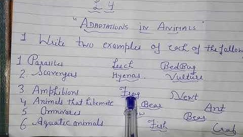 Class-4, Subject-Science, Video-34, Revision of all new words & fill ups by Mrs Varsha