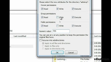 Set File Permissions Via FTP Filezilla