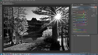 Как сделать фото черно белым в фотошопе