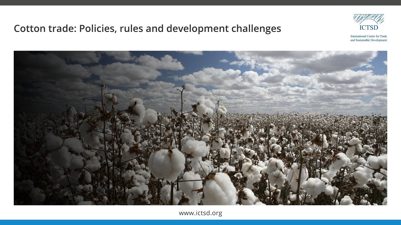 Cotton trade policies, rules, and development challenges YouTube